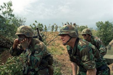 Army CHIEF of STAFF General (GEN) Carl E. Vuono, right foreground, stands beside a lieutenant from the 25th Infantry Division (Light) as they observe a direct fire demonstration during the general's visit to the training area