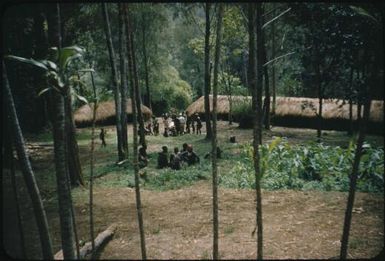 Older houses in a singsing village : Wahgi Valley, Papua New Guinea, 1954 and 1955 / Terence and Margaret Spencer