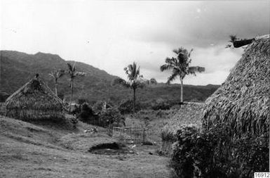 outbuildings, buildings, bure, trees, scaffolding, palm trees, photography,