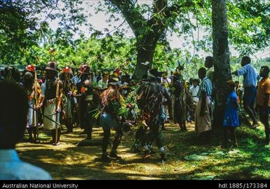 Kokopo Show, Baining dancers