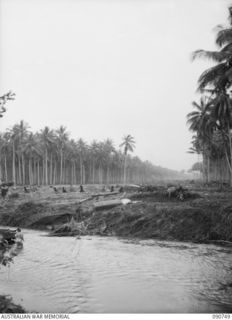 MILNE BAY, NEW GUINEA. 1942-09-14. NO. 2 STRIP AT WAIGANI UNDER CONSTRUCTION WHERE CLEARING IS STILL IN PROGRESS. A TRUCK IS BOGGED IN THE CUTTING AND THE FORD IN THE FOREGROUND, IS IMPASSABLE