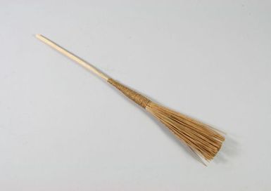 Model salu (broom)