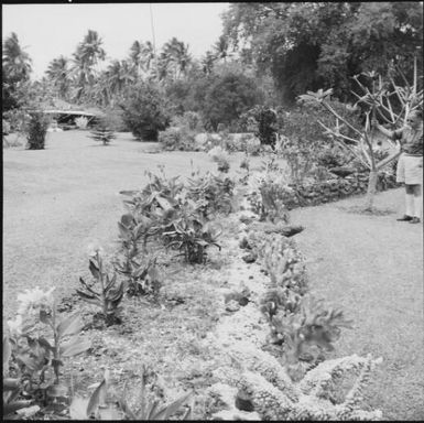 Garden beds edged with coral, Taveuni, Fiji, 1966 / Michael Terry