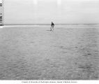 Coral reef between Enar and Rokar Islands of Bikini Atoll, summer 1947