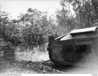 SATTELBERG AREA, NEW GUINEA. 1943-11-17. TROOPS OF THE 2/48TH AUSTRALIAN INFANTRY BATTALION MOVING THROUGH THICK TROPICAL UNDERGROWTH BEHIND AN ADVANCING TANK OF THE 1ST AUSTRALIAN ARMY TANK ..