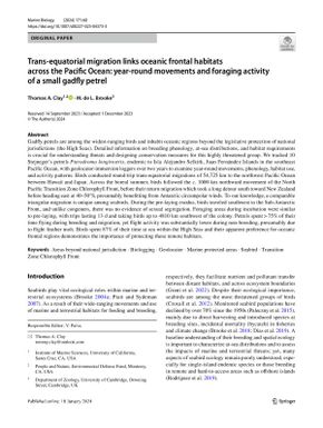 Trans-equatorial migration links oceanic frontal habitats across the Pacific Ocean: year-round movements and foraging activity of a small gadfly petrel