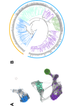 Image_7_Global Scale Dissemination of ST93: A Divergent Staphylococcus aureus Epidemic Lineage That Has Recently Emerged From Remote Northern Australia.pdf