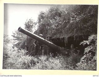 PRAED POINT, RABAUL, NEW BRITAIN. A SIX INCH NAVAL GUN IN REVETMENT. THIS GUN IS BELIEVED TO HAVE BEEN BROUGHT BY THE JAPANESE FROM SINGAPORE