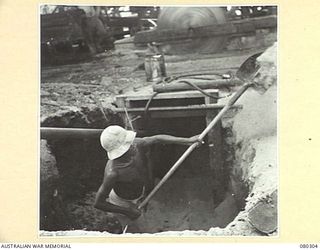 BUSU FOREST, LAE AREA, NEW GUINEA. 1944-07-26. A NATIVE SUPPLIED BY THE AUSTRALIAN NEW GUINEA ADMINISTRATIVE UNIT REMOVES SAWDUST FROM THE PIT UNDER A RIP BENCH AT THE 2/3RD FORESTRY COMPANY, ROYAL ..