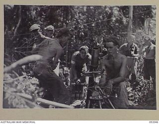 BOUGAINVILLE, 1945-05-16. MORTAR CREW, 24 INFANTRY BATTALION, FIRING RAPID IN AN ATTEMPT TO BLAST OUT ENEMY FROM A POSITION OFF THE BUIN ROAD. D COMPANY, 24 INFANTRY BATTALION OCCUPIED POSITIONS ..