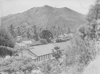 [View overlooking a settlement with palms trees and mountain]