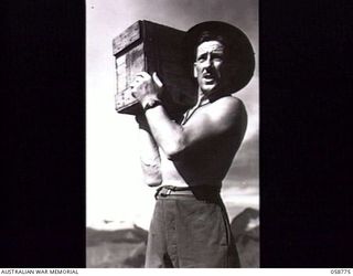 RAMU VALLEY, NEW GUINEA. 1943-10-07. SX2640 SERGEANT H. L. WALKER, NO. 5 PLATOON, 2/2ND AUSTRALIAN SUPPLY DEPOT COMPANY, AUSTRALIAN ARMY SERVICE CORPS, 7TH AUSTRALIAN DIVISION, CARRYING A CASE OF ..