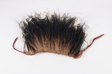 headdress