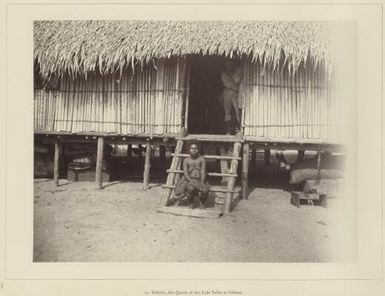 Narrative of the expedition of the Australian Squadron to the south east coast of New Guinea, October to December 1884