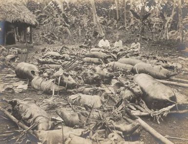 Cooked pigs. From the album: Photographs of Apia, Samoa