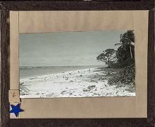 Photographs, negatives, and glass plate negatives concerning the Navy Surveying Expedition to the Phoenix and Samoan Islands, 1939