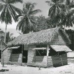 A house made of coconut palm leaves