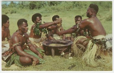 Fiji. Native Americans trying a national drink from Kava Island