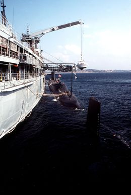 The Fulton-class submarine tender USS ORION (AS 18) services a submarine. The ORION is berthed at the Italian island of Santo Stefano, located between the Sardinian coastal town of Palau and the island of La Maddalena