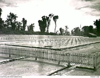 THE SOLOMON ISLANDS, 1945-02-22. GENERAL VIEW OF THE ALLIED CEMETERY AT BOUGAINVILLE ISLAND. (RNZAF OFFICIAL PHOTOGRAPH.)