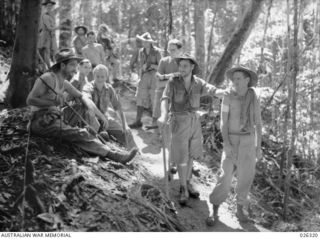 WOUNDED MEMBERS OF THE 39TH AUSTRALIAN INFANTRY BATTALION MAKING THEIR WAY BACK ALONG A JUNGLE TRAIL TO THE BASE HOSPITAL. THEY ARE ALL SUFFERING FROM GUNSHOT WOUNDS SUSTAINED IN THE FIGHTING ..