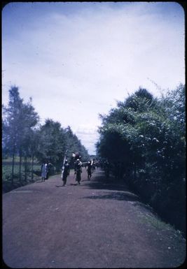 The passing parade on the road past our house, the parade is coming : Minj Station, Wahgi Valley, Papua New Guinea, 1954 / Terence and Margaret Spencer