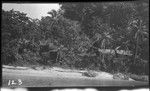 Small dwellings by the shore