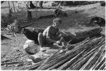 Man shattering bamboo for housemaking