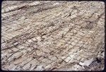 Canoes: detail of a pandanus sail