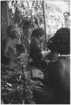Pig festival, wig ritual, Tsembaga: man uses arrow point to apply sap to wig