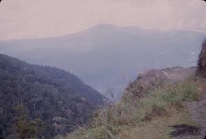 [Landscape of forested mountainside in Papua New Guinea]