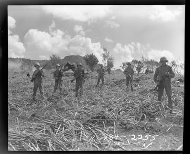 Marines Move Forward Through a Cane Field on the Way to Hill "500"