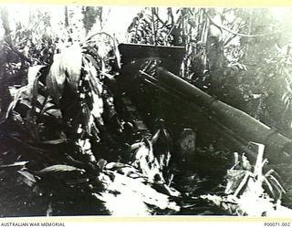 BOUGAINVILLE ISLAND, SOLOMON ISLANDS, 1945-02-06. JAPANESE 6" NAVAL GUN KNOWN AS LONG TOM, CAPTURED BY 7TH BRIGADE, 9TH BATTALION