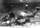 Ralph F. Palumbo collecting algae specimens in the shallow water of Bikini Lagoon, summer 1964