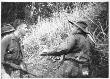Members of the 2/3rd Australian Independent Company receiving instructions during the attack on Timbered Knoll, Orodubi, New Guinea, 29 July, 1943