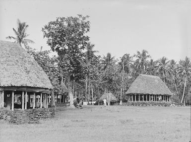 [Village scene showing buildings with thatch roofing]