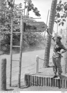 RATAVAL, NEW BRITAIN. 1945-11-17. LIEUTENANT C.L. FRIZELL, 2/4 ARMOURED REGIMENT, EXAMINING A UNIT SIGN WHICH WAS PAINTED BY A JAPANESE SIGNWRITER