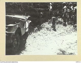 BOUGAINVILLE ISLAND. 1945-02-14. NATIVES PREPARING TO HELP IN EXTRICATING A BOGGED JEEP OF THE 61ST INFANTRY BATTALION