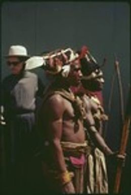 Mount Hagen show: men wear traditional wigs and other finery