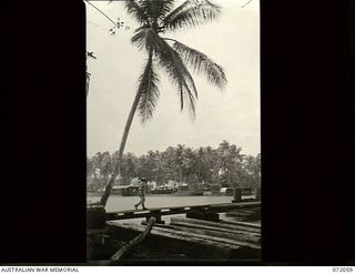 Lae, New Guinea. 1944-04-03. A section of Labu Inlet where the Port Moresby to Lae telegraph line crosses about 300 yards from the coconut palm on the left. The line was maintained by the 19th ..