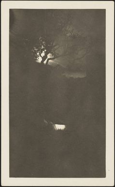 Moonrise, Lalati, Beqa Island, May 1929