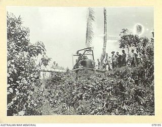 BOUGAINVILLE ISLAND. 1945-02-17. TROOPS OF THE 5TH FIELD COMPANY, USING A BULLDOZER TO FILL IN A SECTION OF THE MOSIGETTA ROAD WASHED AWAY BY THE RIVER