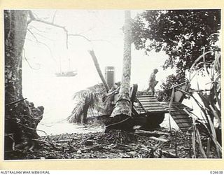 MILNE BAY, PAPUA. 1942-09. ONE OF THE JAPANESE INVASION BARGES THAT WAS RUN ASHORE AT MILNE BAY AMID VERY THICK FOLIAGE IN THE ABORTIVE LANDING BY THE JAPS