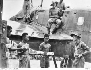 BOUGAINVILLE. AUGUST 1945. NATIVES LOADING LEAFLETS ONTO A PLANE. LEADING UP TO THE JAPANESE SURRENDER ON BOUGAINVILLE, MILLIONS OF LEAFLETS WERE DROPPED TO ENEMY TROOPS BY RAAF PLANES TELLING THEM ..