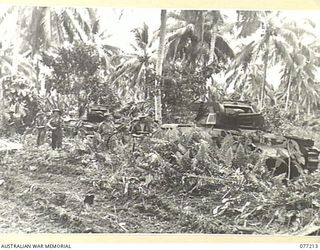 MADANG, NEW GUINEA. 1944-12-14. "MATILDA" TANKS OF THE 2/4TH ARMOURED REGIMENT SUPPORTING AUSTRALIAN INFANTRY DURING A JUNGLE TRAINING EXERCISE