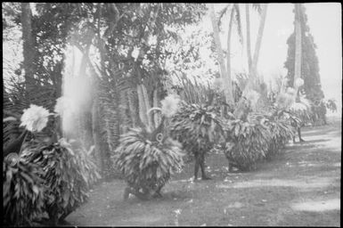 Row of Dukduks at Rabaul Harbour, New Guinea, ca. 1929 / Sarah Chinnery