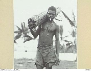 MALAMAL, NEW GUINEA. 1944-07-13. GABALAI, A WAREA RIVER BOY, WITH A BUNDLE OF SAGO PALM FRONDS POSES FOR HIS PHOTOGRAPH AT THE AUSTRALIAN NEW GUINEA ADMINISTRATIVE UNIT NATIVE LABOUR COMPOUND. ..