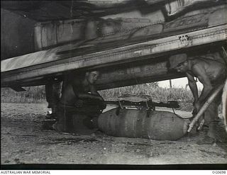 NADZAB, NEW GUINEA. C. 1944-02. BARE TO THE WAIST, LEADING AIRCRAFTMAN (LAC) C. DAVENEY OF WYNNUM, QLD AND LAC J. SHIELD OF LONGREACH, QLD, LOADING A 500 LB BOMB INTO THE BAY OF A VULTEE VENGEANCE ..