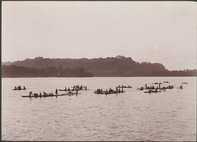 Solomon Islanders in canoes on Graciosa Bay, Santa Cruz Islands, 1906, 1 / J.W. Beattie