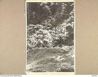 NEW GUINEA. 1943-12-11. A GUN POSITION ON THE DREGER HARBOUR-GODOWA ROAD ABOUT 1000 YARDS IN FROM THE COAST